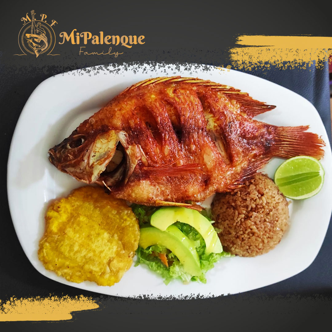Tilapia tray